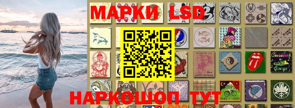 Марки N-bome  Вход с VPN  Камышлов  Марки 25I-NBOMe 1,5мг 