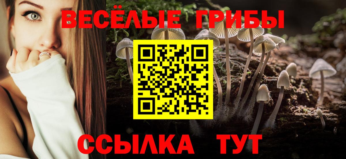 Псилоцибиновые грибы прущие грибы Камышлов