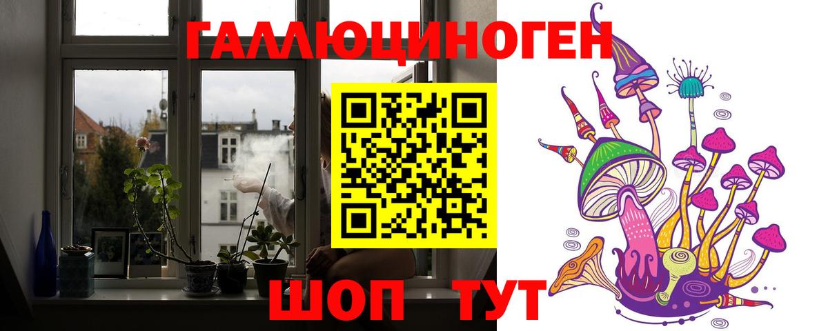 Галлюциногенные грибы Cubensis  Вход с VPN  Галлюциногенные грибы Psilocybe  Камышлов 