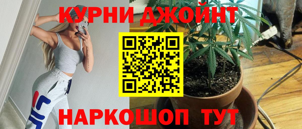 МАРИХУАНА VHQ Камышлов